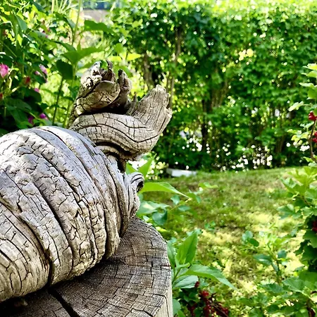 Chasa Avant Muglins סקואול