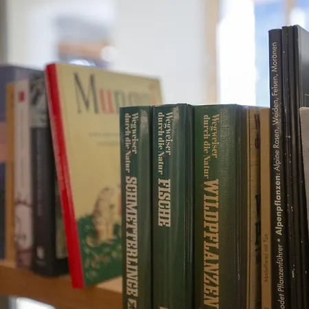 Chasa Avant Muglins Daire *